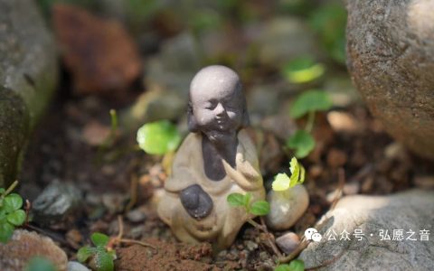 披甲精進(jìn)，保護發(fā)心